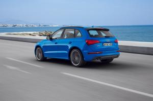 Audi SQ5 TDI Plus 2015 года  (WW)